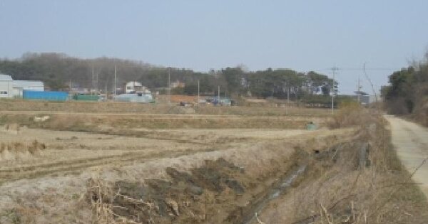 충청북도 청주시 흥덕구 현암동 242-2 답 경매 물건 이미지