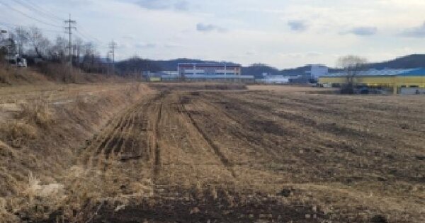 충청북도 괴산군 사리면 방축리 산77-1 임야 경매 물건 이미지