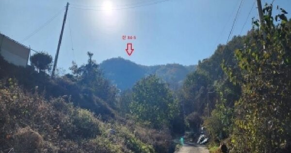 충청북도 옥천군 안내면 방하목리 산34-5 임야 경매 물건 이미지