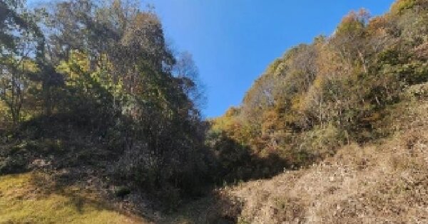 충청북도 옥천군 안내면 방하목리 산53-1 임야 경매 물건 이미지