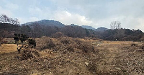 충청남도 예산군 덕산면 대치리 247-1 임야 경매 물건 이미지