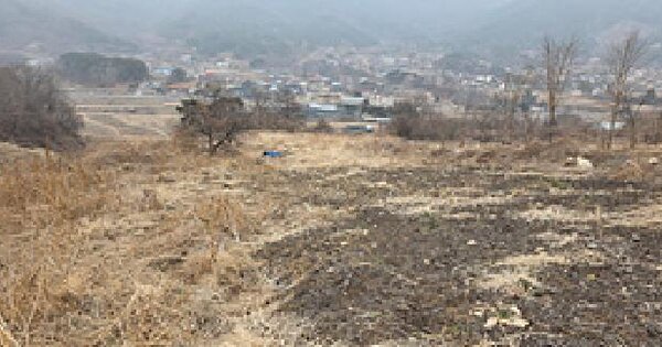 충청남도 예산군 덕산면 대치리 243-5 전 경매 물건 이미지