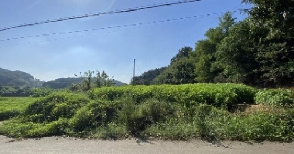 충청남도 당진시 면천면 자개리 596 전 경매 물건 이미지