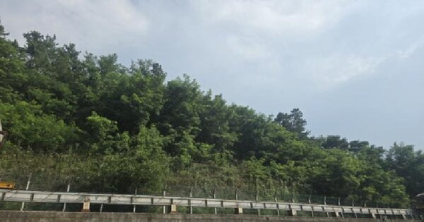경상북도 칠곡군 가산면 석우리 산158-6 임야 경매 물건 이미지