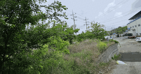경상북도 영천시 대창면 사리리 684 전 경매 물건 이미지