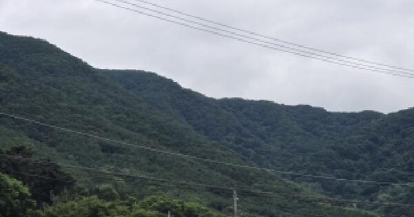 대구광역시 달성군 논공읍 노이리 산193 임야 경매 물건 이미지