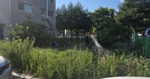 대구광역시 달성군 유가읍 봉리 580-1 대지 경매 물건 이미지