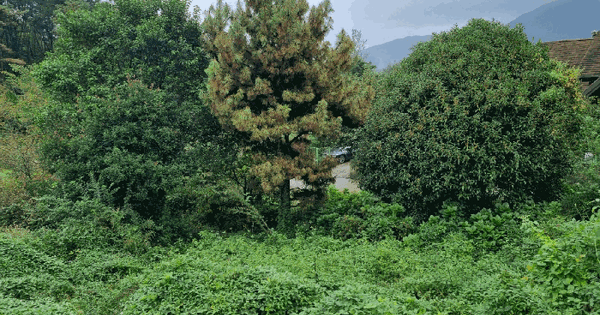 울산광역시 울주군 온양읍 삼광리 871 전 경매 물건 이미지
