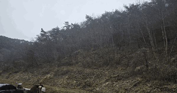 전남광주통합특별시 화순군 백아면 용곡리 산114 임야 경매 물건 이미지