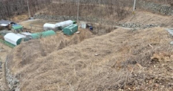 경상북도 경주시 양남면 신대리 189-7 답 경매 물건 이미지