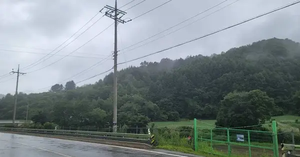 강원특별자치도 평창군 용평면 노동리 산207 임야 경매 물건 이미지