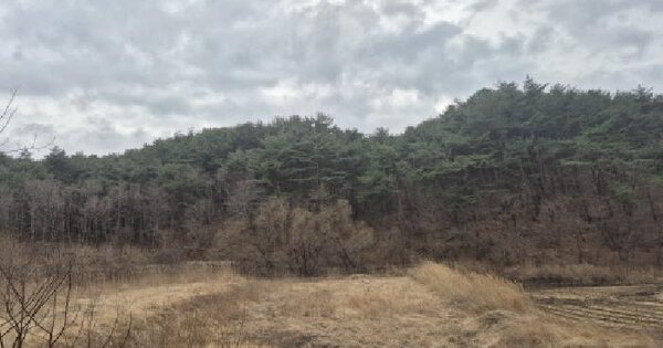 강원특별자치도 양양군 손양면 송현리 산32-2 임야 경매 물건 이미지