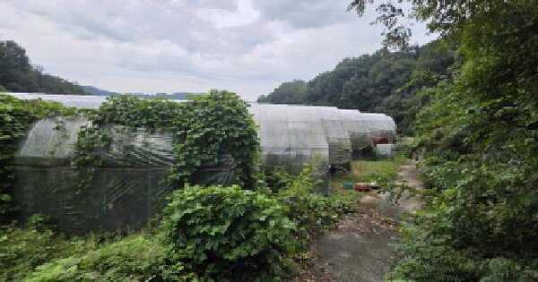 경상북도 김천시 봉산면 인의리 758 답 경매 물건 이미지