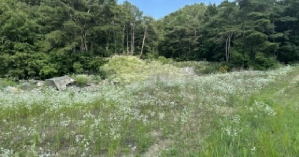 충청북도 보은군 수한면 오정리 207 전 경매 물건 이미지