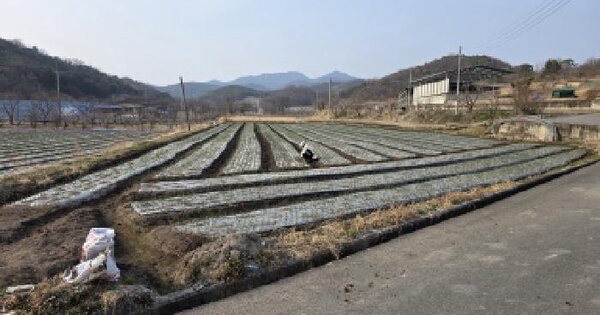 경상북도 청도군 각북면 명대리 721 답 경매 물건 이미지