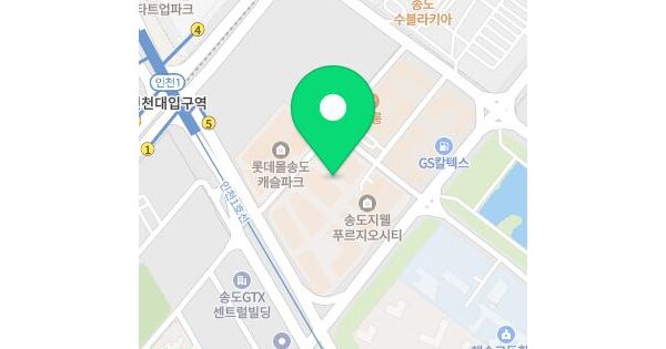 인천광역시 연수구 송도동 8-20 송도캐슬센트럴파크 102동 11층1105호 미지정 경매 물건 이미지