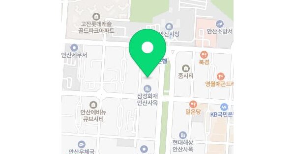 경기도 안산시 단원구 고잔동 523-2 브레스빌  5층527호 미지정 경매 물건 이미지