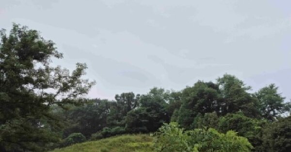 충청남도 천안시 동남구 목천읍 소사리 산18-3  미지정 경매 물건 이미지