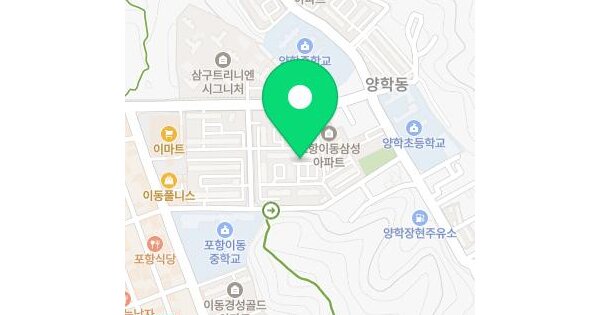 경상북도 포항시 북구 득량동 303 포항이동삼성아파트 104동 19층1903호 미지정 경매 물건 이미지