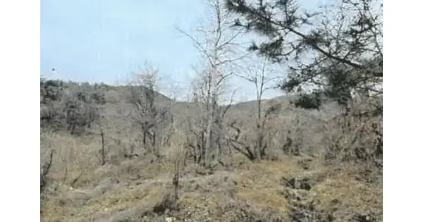 경상북도 칠곡군 가산면 학상리 867 전 경매 물건 이미지