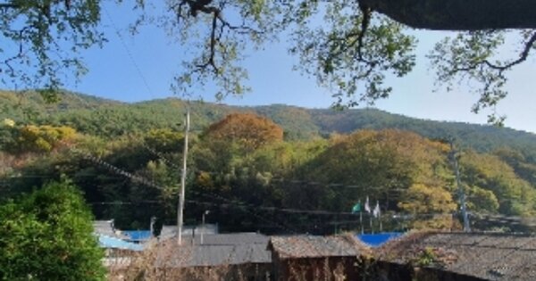 경상남도 창원시 마산합포구 진동면 태봉리 382 임야 경매 물건 이미지