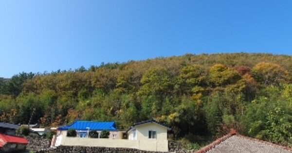 경상남도 창원시 마산합포구 진동면 태봉리 산88 임야 경매 물건 이미지