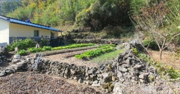 경상남도 창원시 마산합포구 진동면 태봉리 349 대지 경매 물건 이미지
