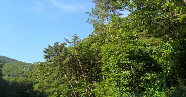 경상남도 함안군 산인면 모곡리 778 임야 경매 물건 이미지