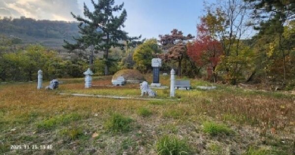 경상남도 김해시 진영읍 죽곡리 519 임야 경매 물건 이미지