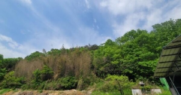 경상남도 의령군 궁류면 압곡리 산76 임야 경매 물건 이미지