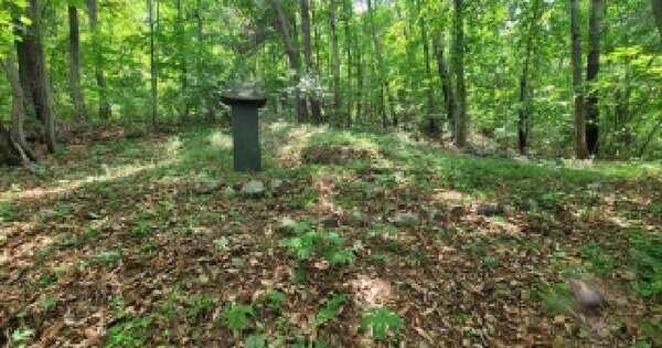 경상남도 의령군 궁류면 압곡리 산82 임야 경매 물건 이미지