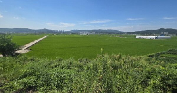 경상북도 구미시 고아읍 괴평리 910 답 경매 물건 이미지