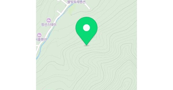 강원특별자치도 정선군 남면 무릉리 667-4  미지정 경매 물건 이미지