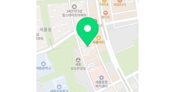 세종특별자치시  새롬동 564 새뜸마을13단지 근린생활시설  1층비-125-1호 미지정 경매 물건 이미지