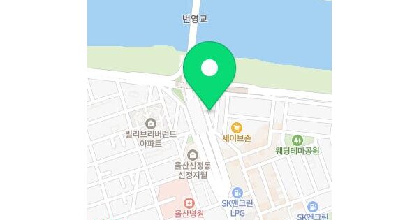 울산광역시 남구 삼산동 1403-3 태화강더뷰  17층1708호 미지정 경매 물건 이미지