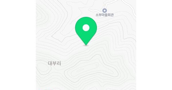 경상남도 합천군 청덕면 대부리 산99  미지정 경매 물건 이미지