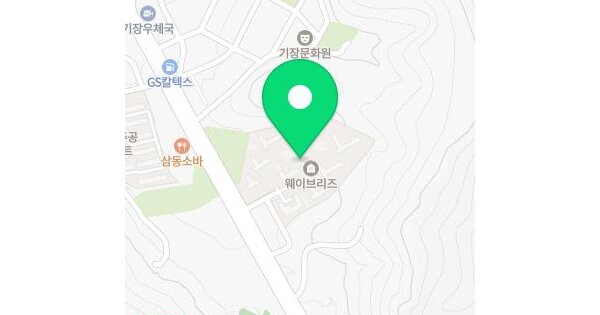 부산광역시 기장군 기장읍 청강리 868 웨이브리즈 203동 17층1706호 미지정 경매 물건 이미지