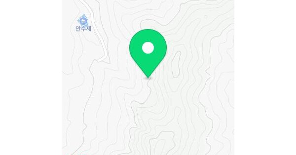 전남광주통합특별시 영광군 군남면 반안리 산11  미지정 경매 물건 이미지