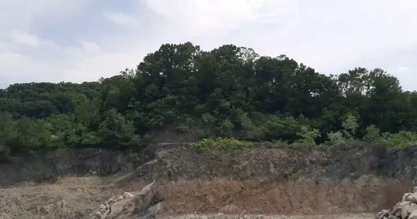경상북도 고령군 성산면 득성리 산18-1 임야 경매 물건 이미지