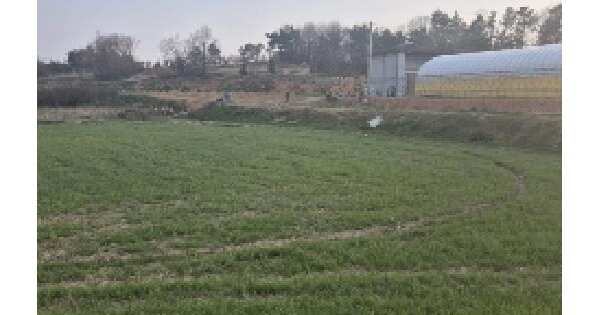 전남광주통합특별시 나주시 왕곡면 신포리 208 답 경매 물건 이미지