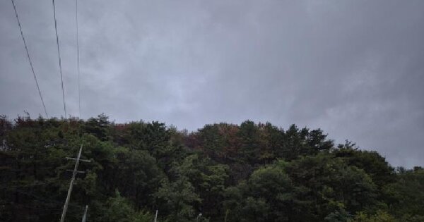 경상북도 영덕군 영덕읍 오보리 213-2 전 경매 물건 이미지