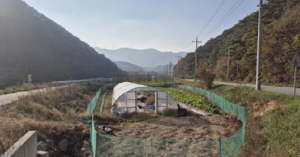 경상북도 영덕군 창수면 신리리 293-4 답 경매 물건 이미지