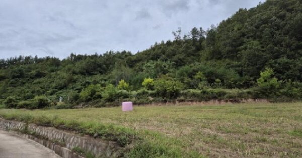 경상북도 영양군 영양읍 대천리 117 전 경매 물건 이미지