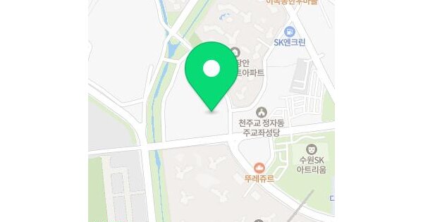 경기도 수원시 장안구 이목동 338-6 우성테크노파크수원정자  지하1층비166호 미지정 경매 물건 이미지