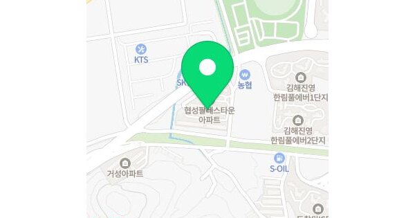 경상남도 김해시 진영읍 진영리 598-3 협성팔레스타운 105동 1층101호 미지정 경매 물건 이미지