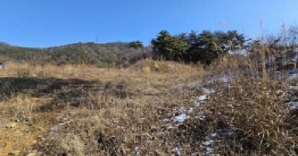 충청북도 단양군 적성면 상리 64-59 임야 경매 물건 이미지