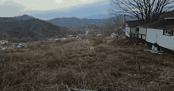 충청북도 단양군 적성면 상리 616-3 전 경매 물건 이미지