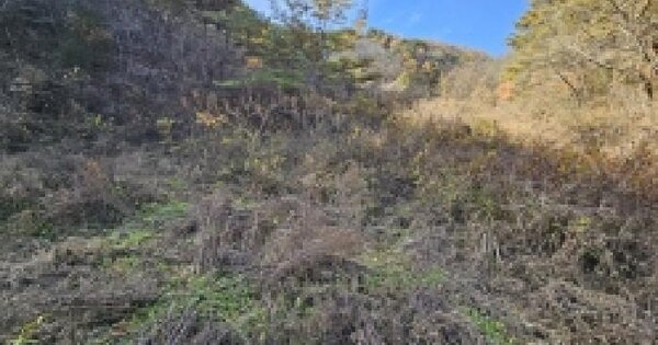 충청북도 단양군 가곡면 덕천리 322 답 경매 물건 이미지