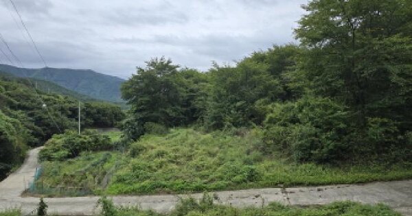 경상북도 영천시 자양면 보현리 2574 답 경매 물건 이미지