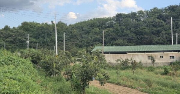 경상북도 청도군 이서면 고철리 272 과수원 경매 물건 이미지